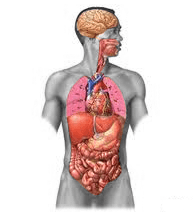 Detox |lookingjoligood.wordpress.com