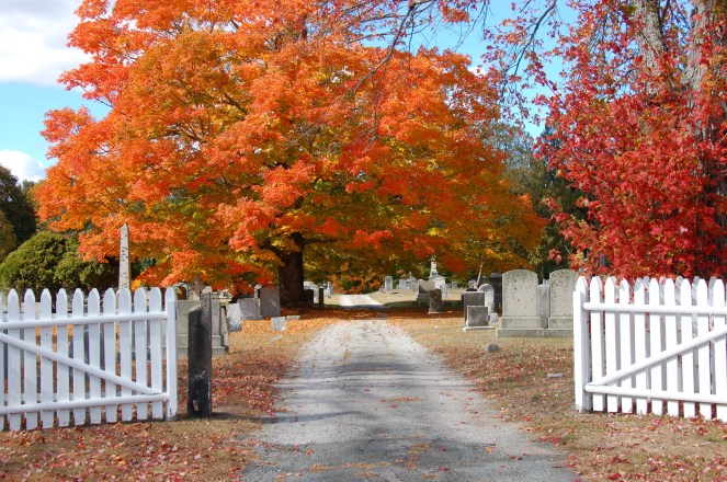 Fall In New England | lookingjoligood.wordpress.com