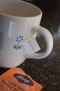 Spice Vox Box | lookingjoligood.wordpress.com