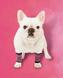 Jessica Smith TV | lookingjoligood.wordpress.com