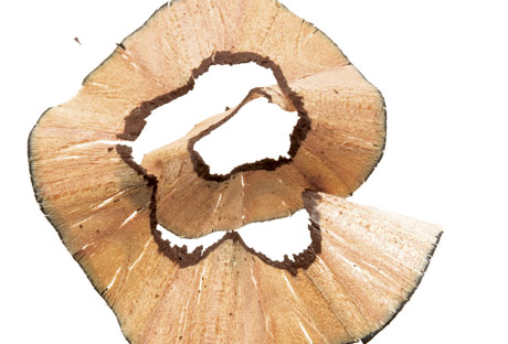 Tip Tuesday...| lookingjoligood.wordpress.com