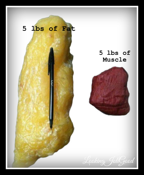 The space taken up by muscle vs fat | lookingjoligood.wordpress.com