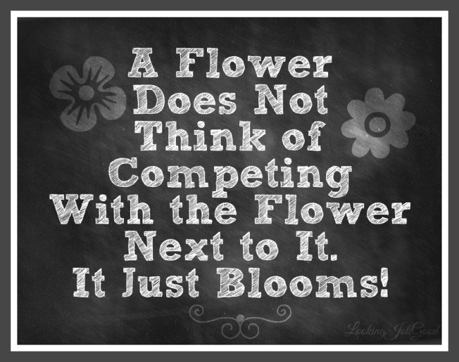 A Flower Does Not Think of Competing With the Flower Next to It. It Just Blooms! | lookingjoligood.wrodpress.com