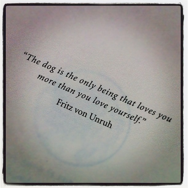 i-love-my-dog | lookingjoligood.wordpress.com