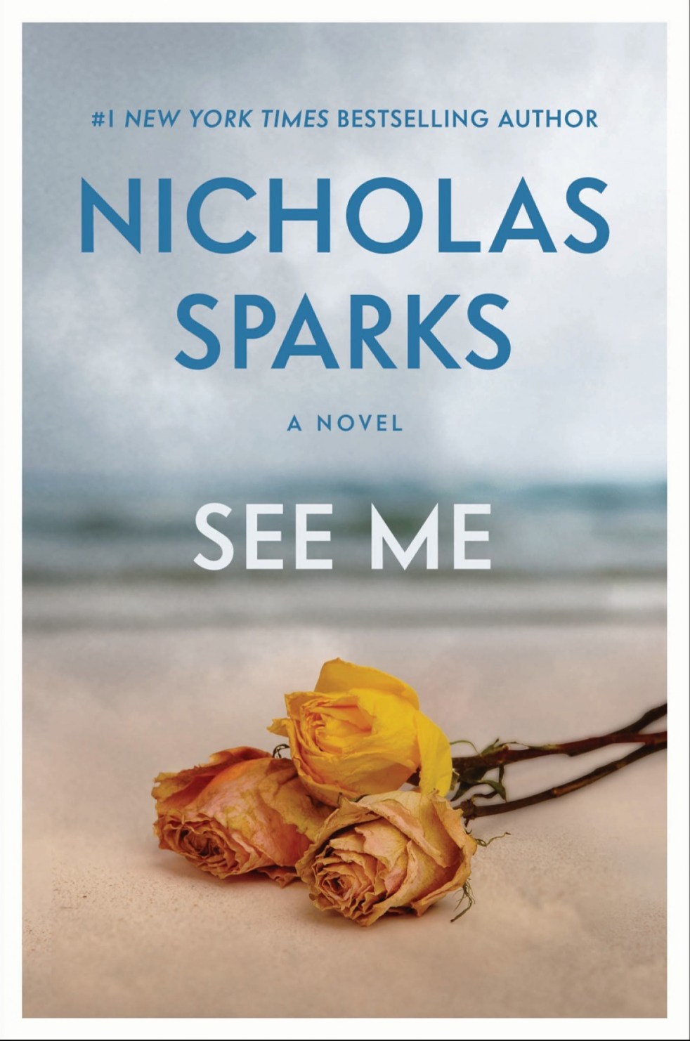 See Me Nickolas Sparks | lookingjoligood.wordpress.com