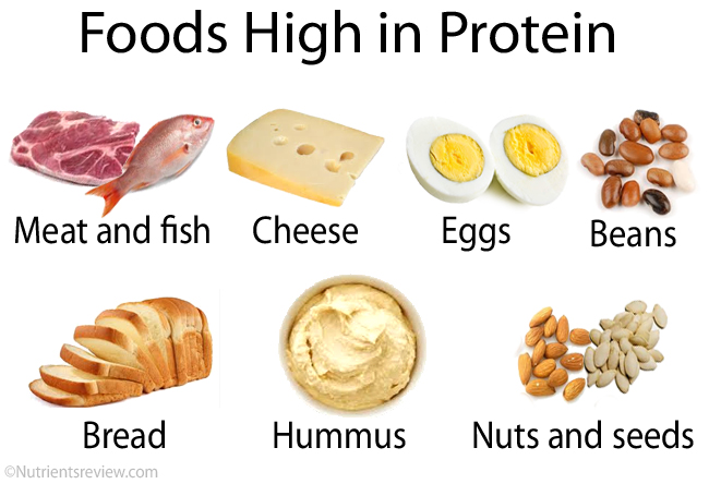 high protein foods | lookingjoligood.wordpress.com