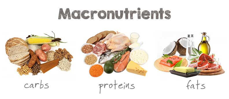 macronutrients | lookingjoligood.wordpress.com