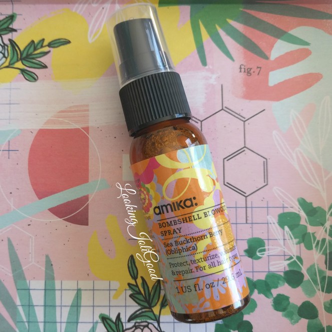 amika blowout birchbox | lookingjoligood.blog
