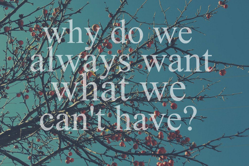 Why do we always want what we can't have | lookingjoligood.bolg