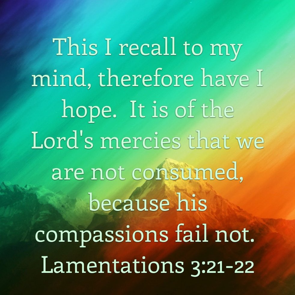 Lamentations 3:21-22 | lookingjoligood.blog