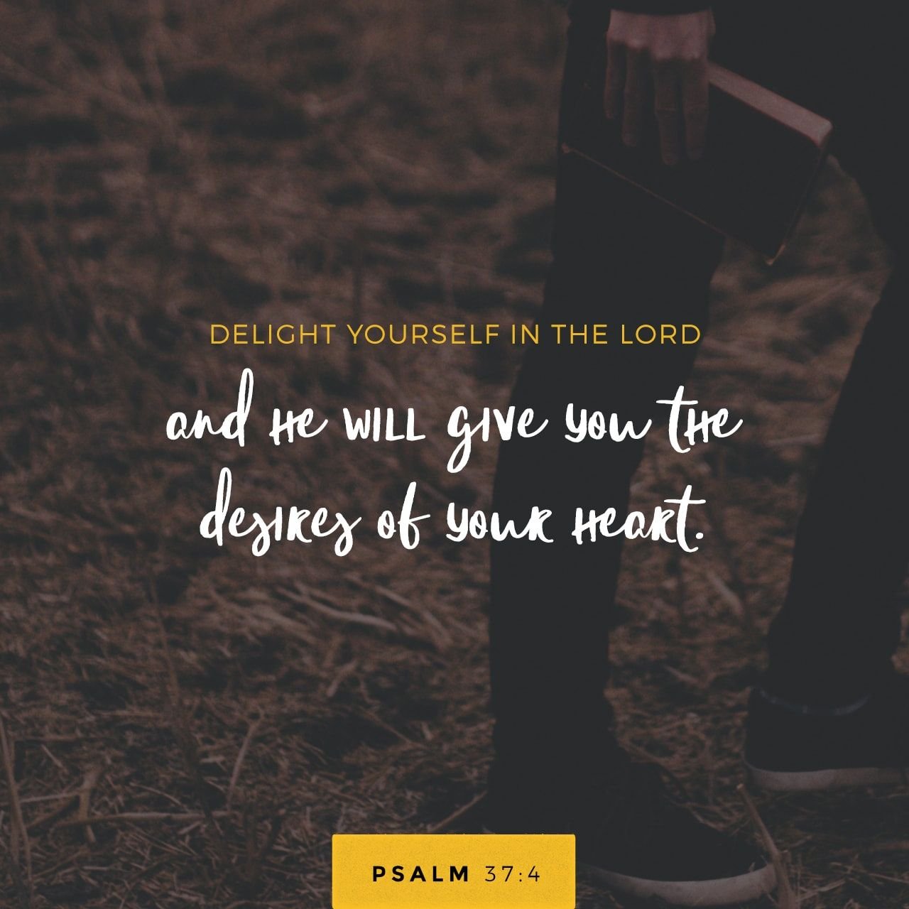 Psalms 37:4 | lookingjoligood.blog