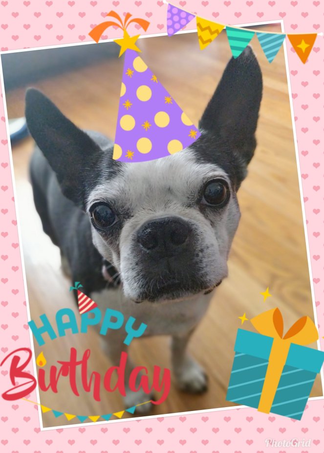 Happy Birthday Tessie | lookingjoligood.blog