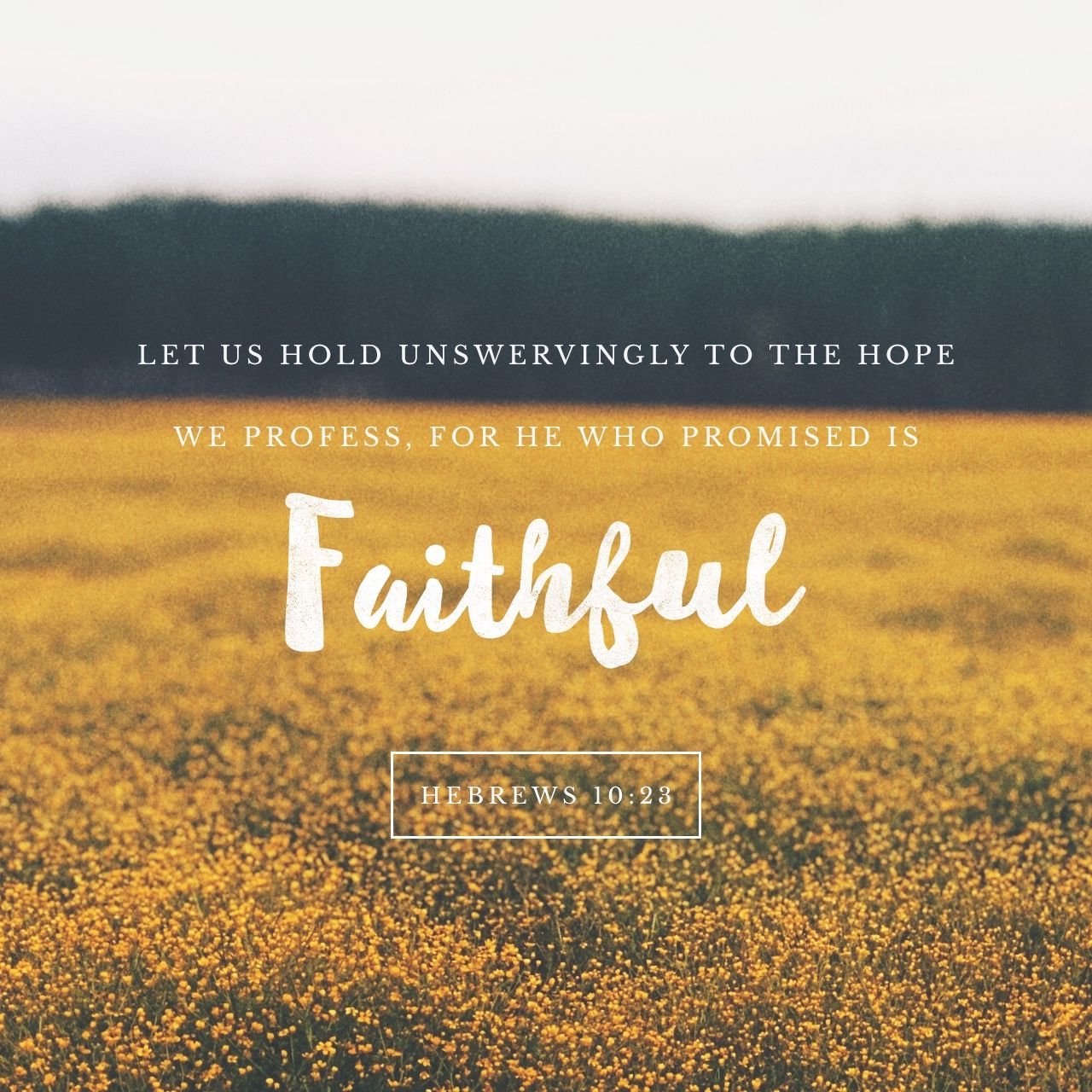 Hebrews 10:23 | lookingjoligood.blog