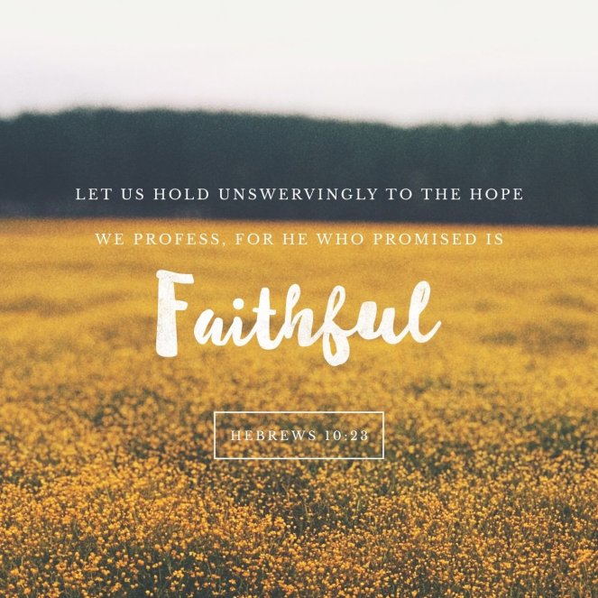Hebrews 10:23 | lookingjoligood.blog