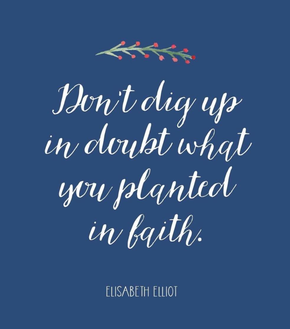 Hebrews11:1 | lookingjoligood.blog