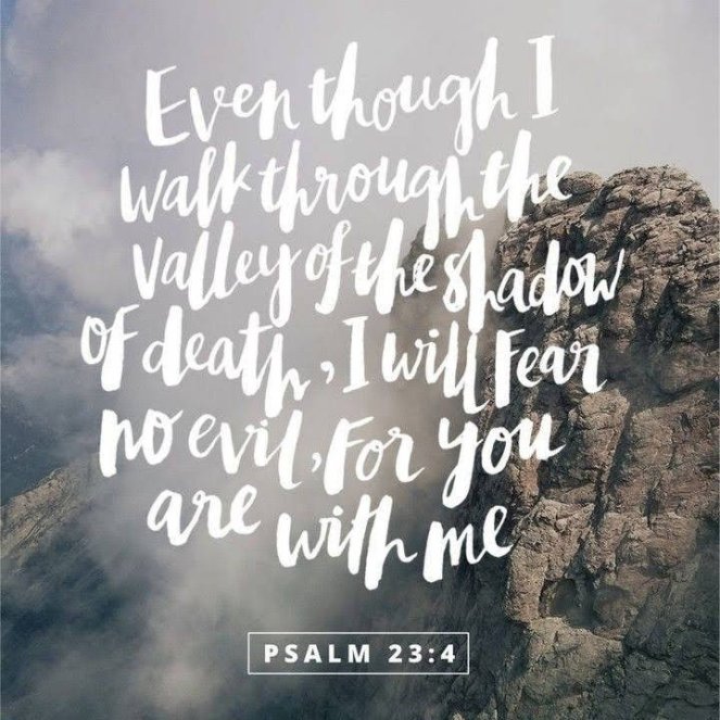 Cancer cannot | lookingjoligood.blog