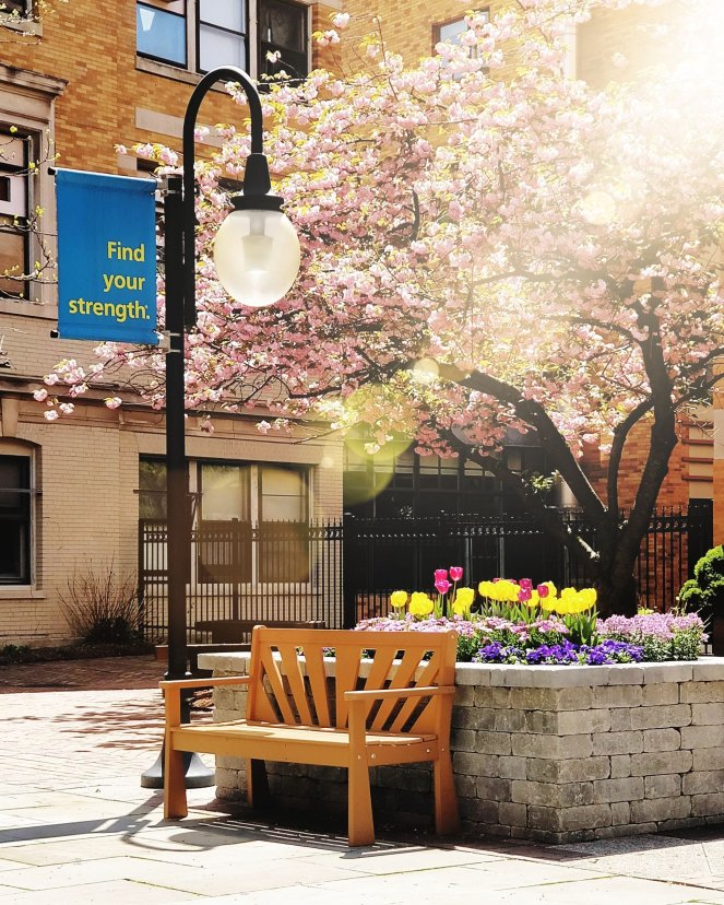 Find Your Strength | lookingjoligood.blog