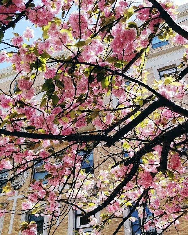 ocean of grief | lookingjoligood.blog