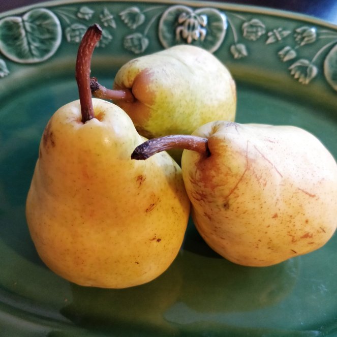 Pear | lookingjoligood.blog